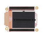 Great Scott Gadgets Daffodil Vergrößertes Bild