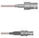 Amphenol Custom Cable Q-0300Q0005006i