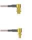 Amphenol Custom Cable Q-2P03H0005011i