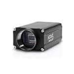 Basler 106413 Vergrößertes Bild