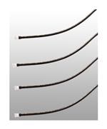 Bivar LC2-10.0 Vergrößertes Bild