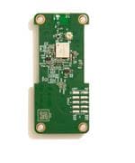 Coral G650-07974-01 Vergrößertes Bild