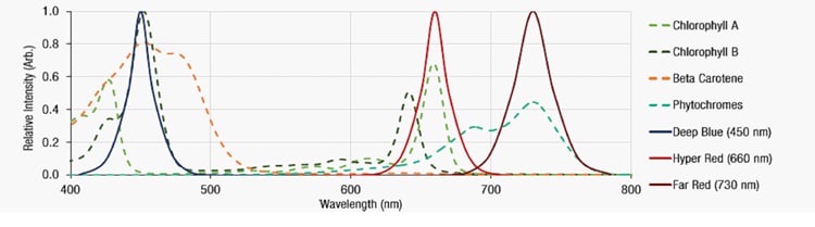 Würth Elektronik Horticulture-LEDs