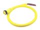 Molex 1300080231